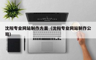 邵阳县沈阳专业网站制作方案（沈阳专业网站制作公司）